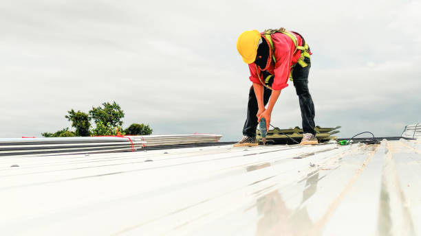 Best Commercial Roofing Services  in Windcrest, TX