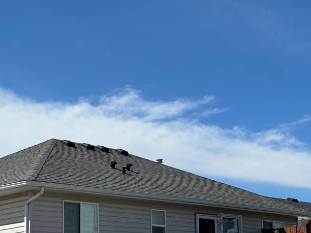 Best Roofing for New Construction  in Windcrest, TX